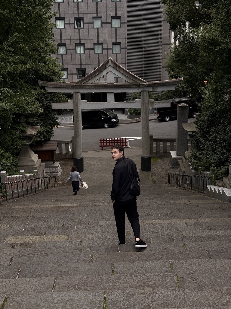 Reisfoto — Japan of IJsland